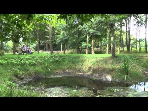 RuheForst® Holsteinische Schweiz / Malente