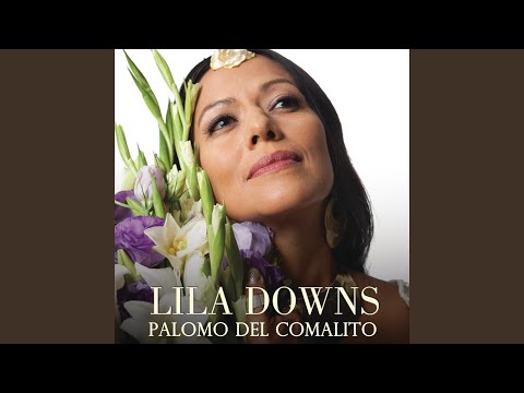 Palomo del comalito – Lila Downs