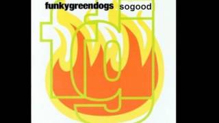 Funky Green Dogs - So Good