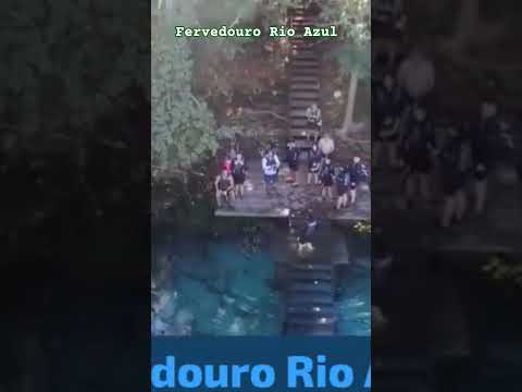 Bodoquena MS