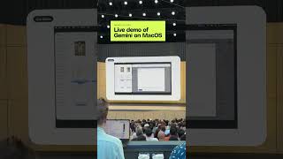 Gemini on MacOS demo