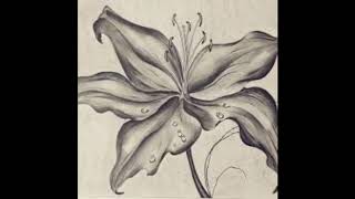 Download lagu Cash Machine   Anno Domini Beats mp3