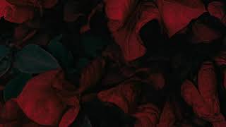 Skylark - Love &amp; Hate [Overview Music]