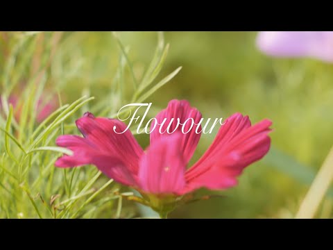 Ratch - Flowour（Official Music Video）