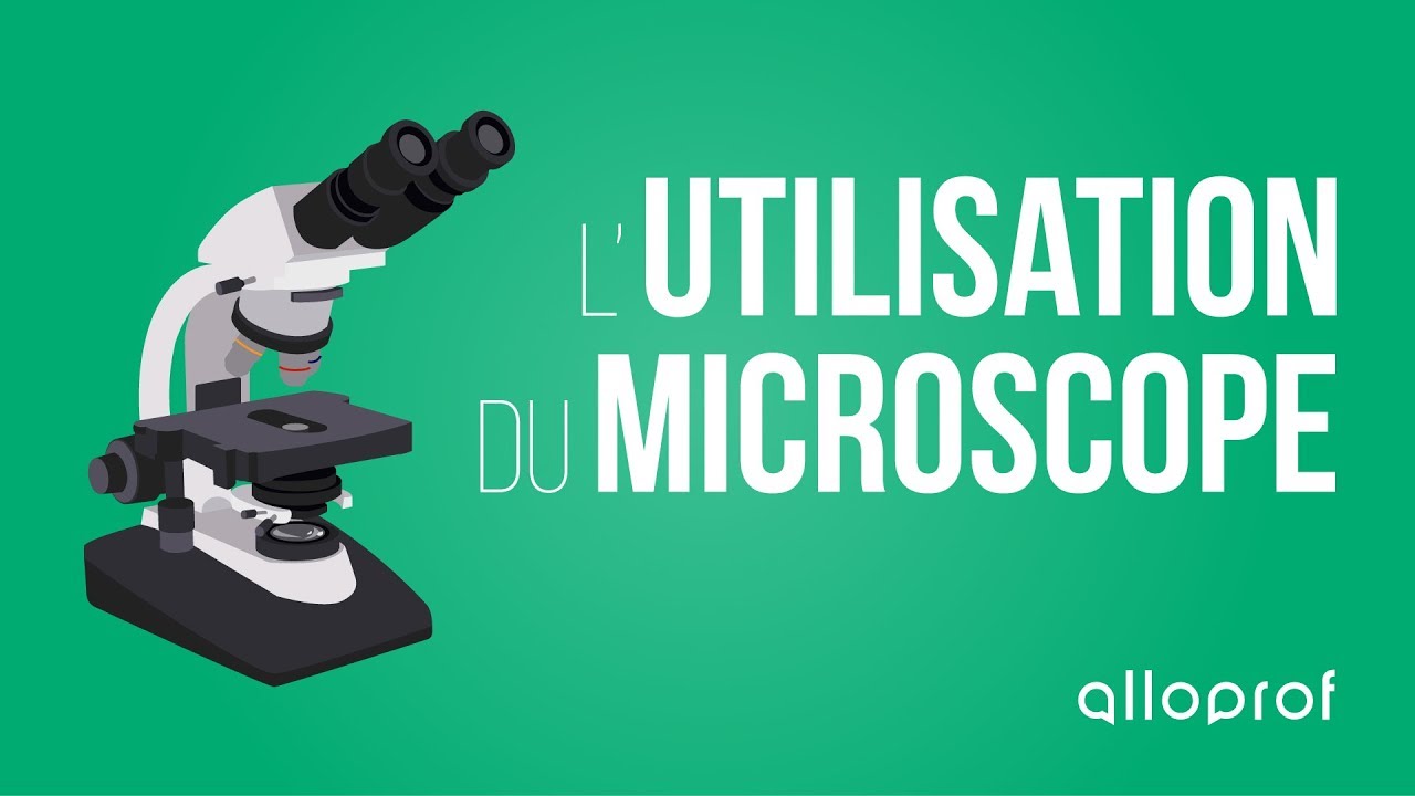 L'utilisation du microscope Alloprof