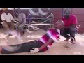 Mandoza Ft Funny Video I M Sorry If