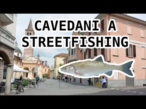 Pesca ai cavedani in città