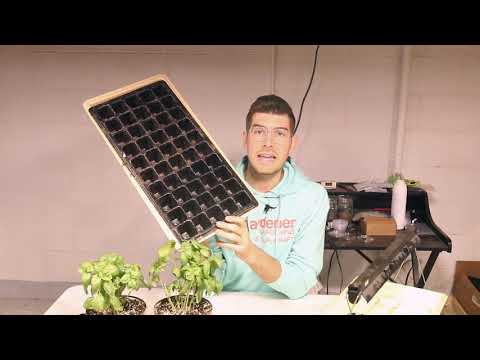 What Matt Damon The Martian Should Have Known Before Growing Indoor Potatoes