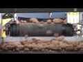 Vídeo sobre Líneas completas para patatas, nabos, etc.