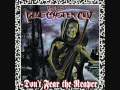 Blue Oyster Cult - I'm Burning For You 