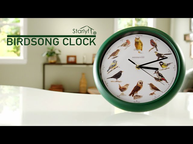 Vídeo relacionado con STARLYF - Reloj de Pared con Sonidos Reales de pajaros Birdsong Clock, Instalación fácil, Grabaciones Originales, Se silencia en horario Nocturno (25x25)