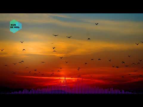 Liqweed sessions #20 - Liquid Drum and Bass Mix