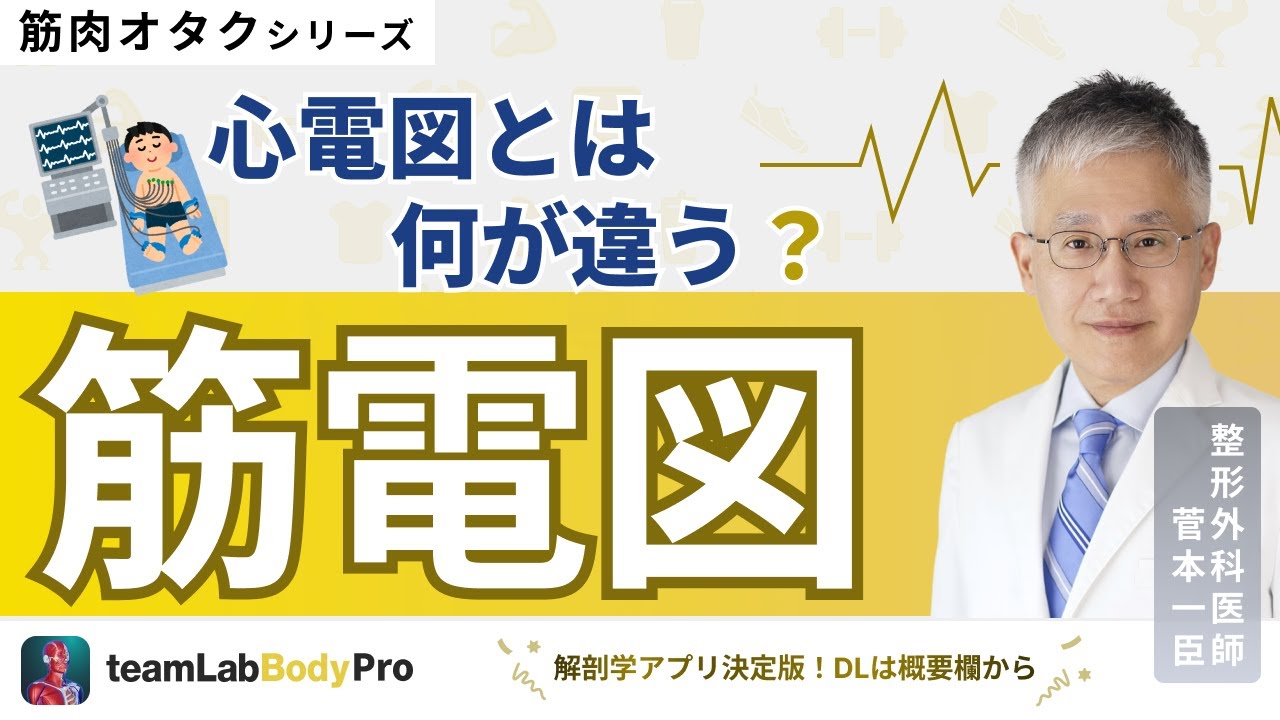 【筋電図】心電図の違いについて詳しく解説します！