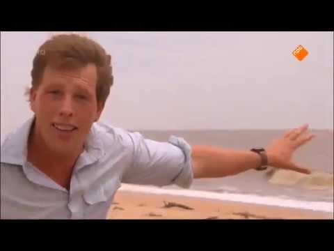 Freeks wilde wereld  De lederschildpad en de vieroogvis kijk je op npo nl