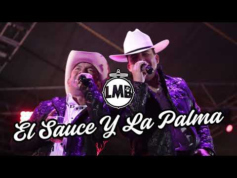 🎬 El Sauce Y La Palma - La Misma Banda Feat Temazo