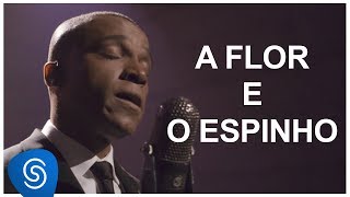 A Flor E O Espinho Lyrics English Translation