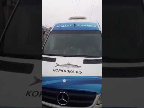 Продажа корюшки в СПб