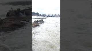 preview picture of video 'Mettur Dam - Sixteen Bridges Water-flow I 1080p I Part-1'