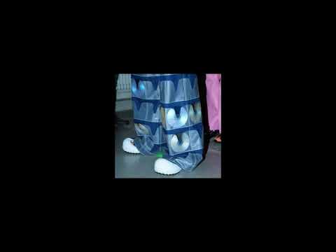 Noistruct - Live at Oops! I Fuckfested Again!_Valve Bar_Sydney New South Wales_November 2015