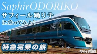 【特急完乗の旅】特急サフィール踊り子に乗ってみよう！！！【ゆっくり実況】