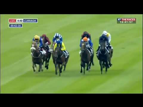Medicine Jack GAIN Railway Stakes 2016