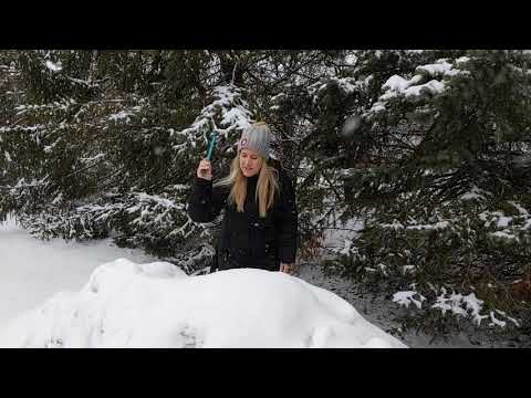 Kim Adams Awesome Weather Update