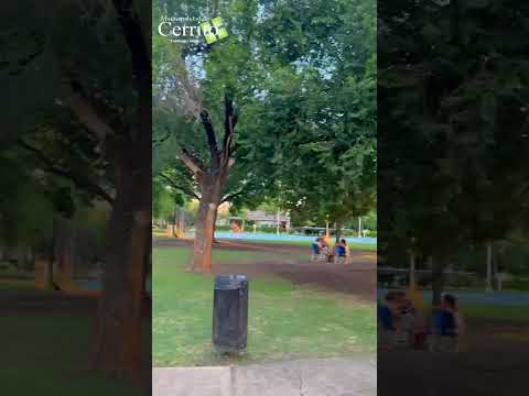 CERRITO - ENTRE RÍOS