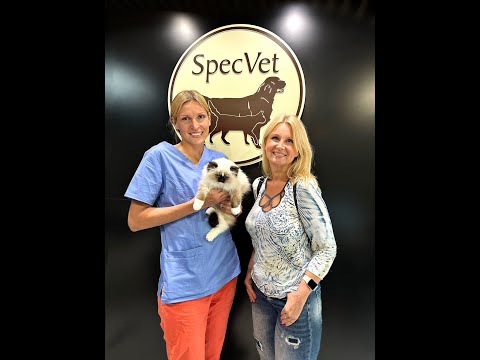 Posumowanie trzyletniego programu badań  (2020-2023)