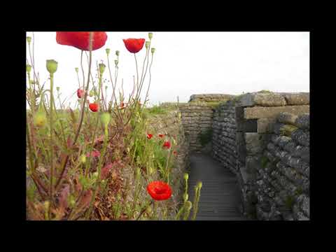 "In Flanders Fields" recitation by William Swank, November 11, 2018
