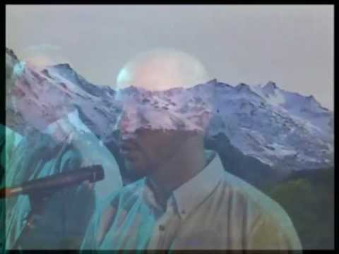 ARRAYA: La plenta deu pastor