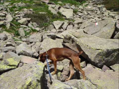 MUSIERA - CIMA D'EZZE