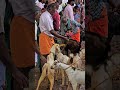 Veerapur Ponnar Shankar Temple Audi Last Sunday