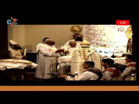 image-What is the difference between Orthodox and Coptic?