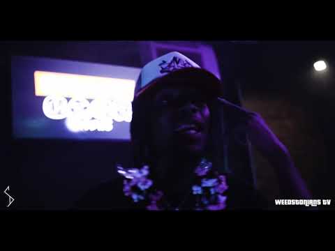 SAUCE GOHAN BTS OF LAST LAUGH WEEDSTONIANS SAUCE TV