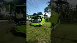 Download lagu BUS PARIWISATA MSM ASYROF DITABRAK PEMOTOR mp3 Download lagu BUS PARIWISATA MSM ASYROF DITABRAK PEMOTOR mp3