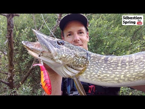 River2Sea Whopper Plopper 110 11cm 28g Pike 22 F