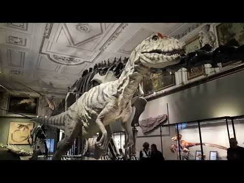 Wien Naturhistorisches Museum 05 09 2018