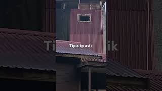 Download lagu Rumah walet tipis asik mp3