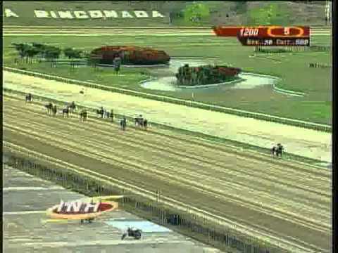 Resumen Domingo, 20 de Julio de 2014 - La Rinconada