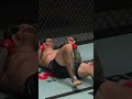 Sean O Malley Crazy KO Shorts