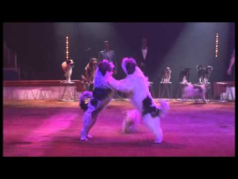 Wolfgang Lauenburger Lille 2011