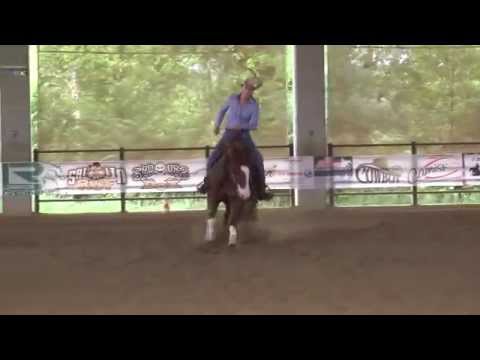 FONCK POELS ANN - GUNNERLICIOUS - 23 QH AZ AGR