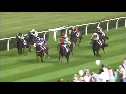 Preis der Holschbach Immobilien Gruppe - BBAG Auktionsrennen Düsseldorf