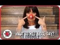 RED NOSE DAY: What is that all about? - YouTube