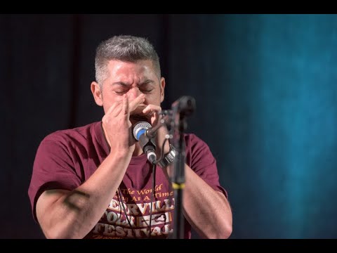 Developing blues harmonica licks | A harp