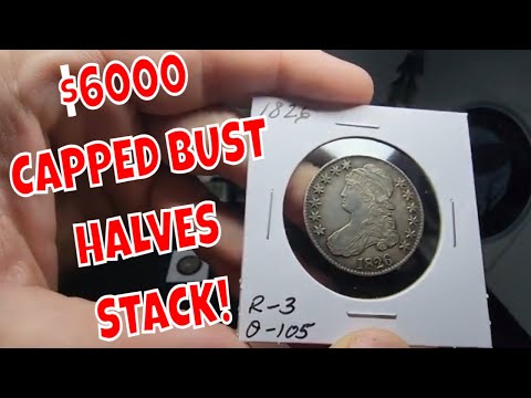 $6000 Dollar Collection Of Capped Bust Halves.