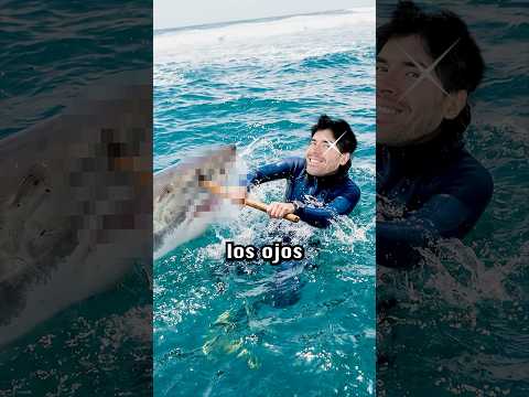 Como Sobrevivir Al Ataque De Estos Animales SALVAJES 🦈
