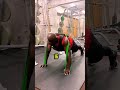 90キロで腕立て伏せチャレンジ2回目#shorts
