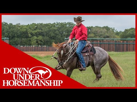 Clinton Anderson: How to Handle a Fresh Horse - Downunder Horsemanship