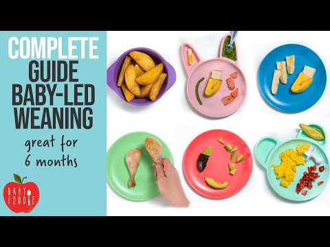 Complete Guide to Baby-Led Weaning